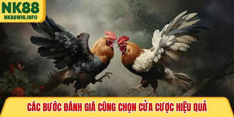 Các bước đánh giá cùng chọn cửa cược hiệu quả