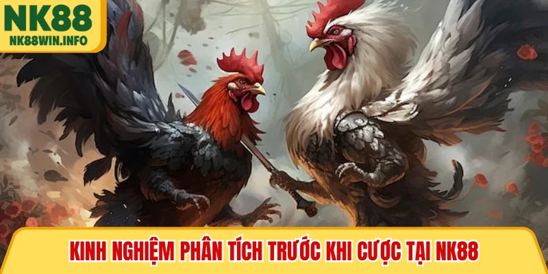 Kinh nghiệm phân tích trước khi cược tại NK88