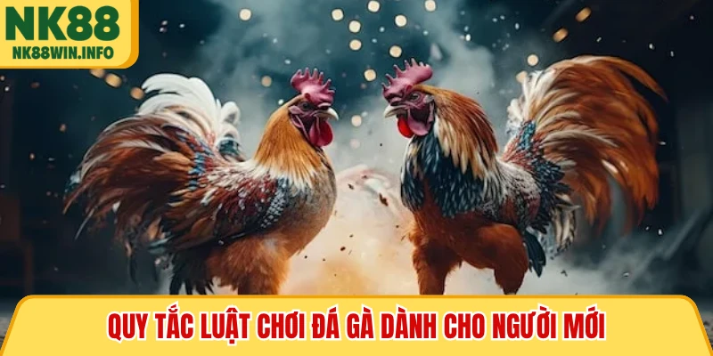 Quy tắc luật chơi đá gà dành cho người mới