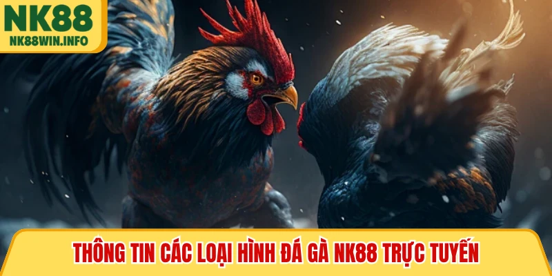 Thông tin các loại hình đá gà NK88 trực tuyến