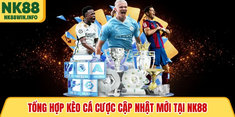 Tổng hợp kèo cá cược cập nhật mới tại NK88